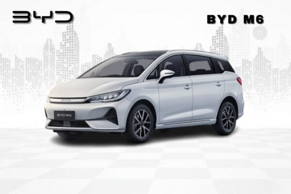 BYD M6